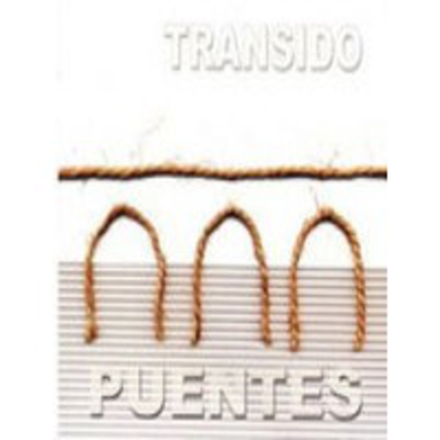 Entrevistas Mestizaje