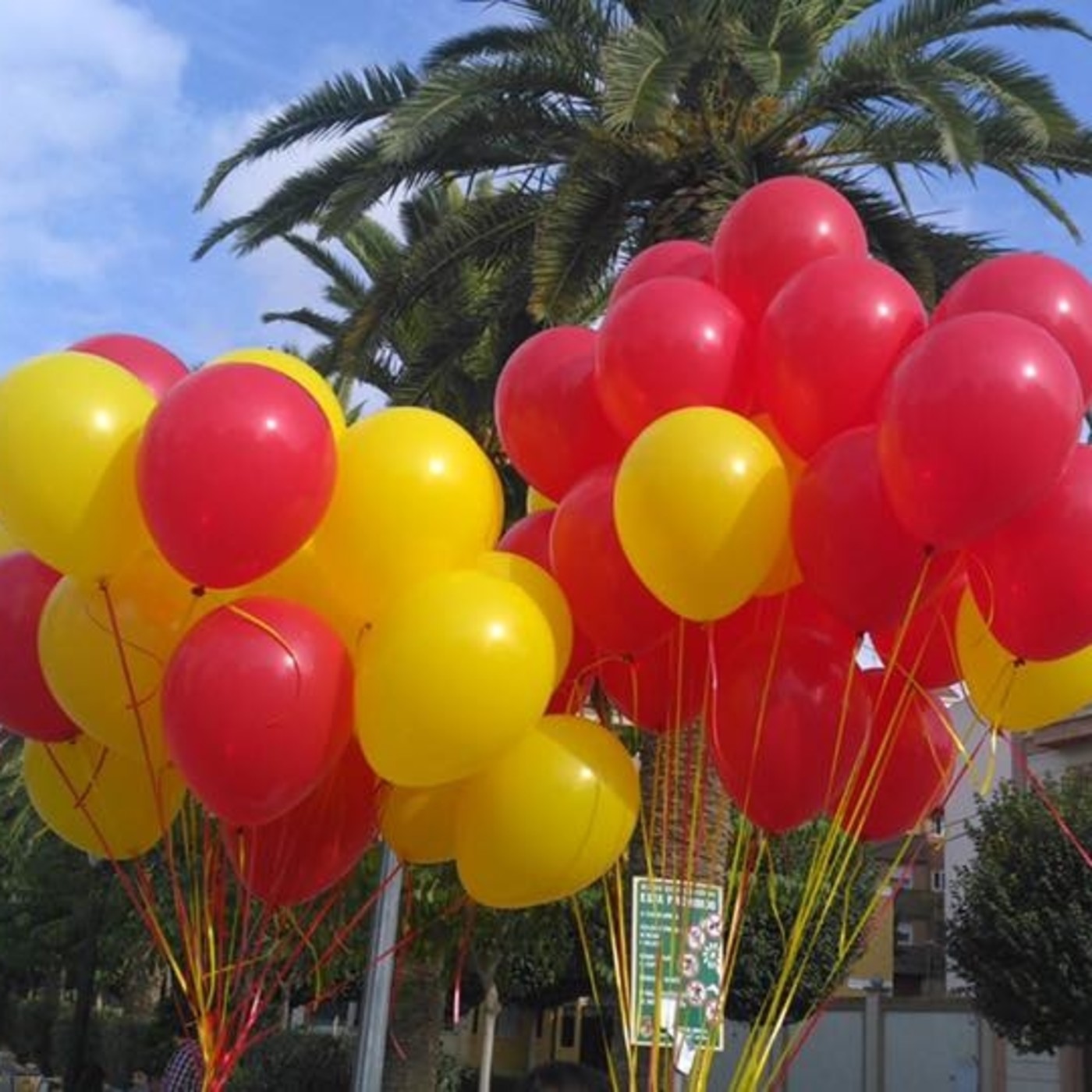 Partido Popular de Jumilla