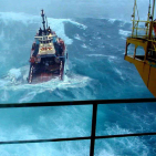 embed image