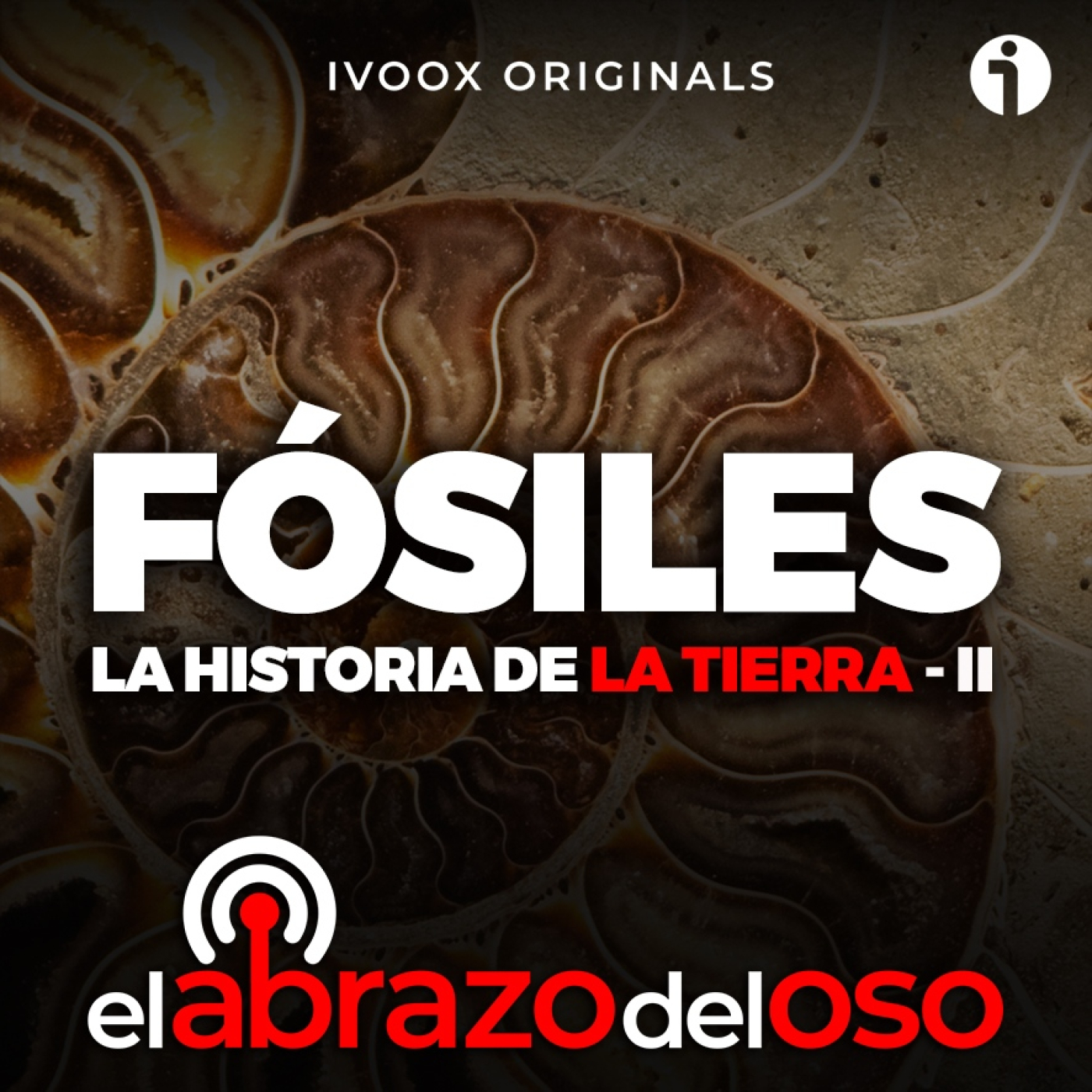 Fósiles: Historia de la Tierra 2 – El Abrazo del Oso