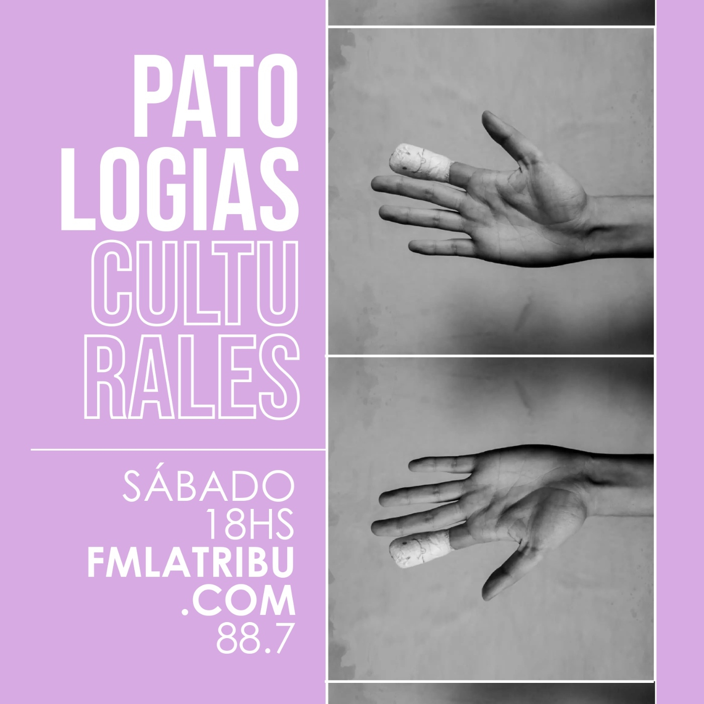 Patologías Culturales