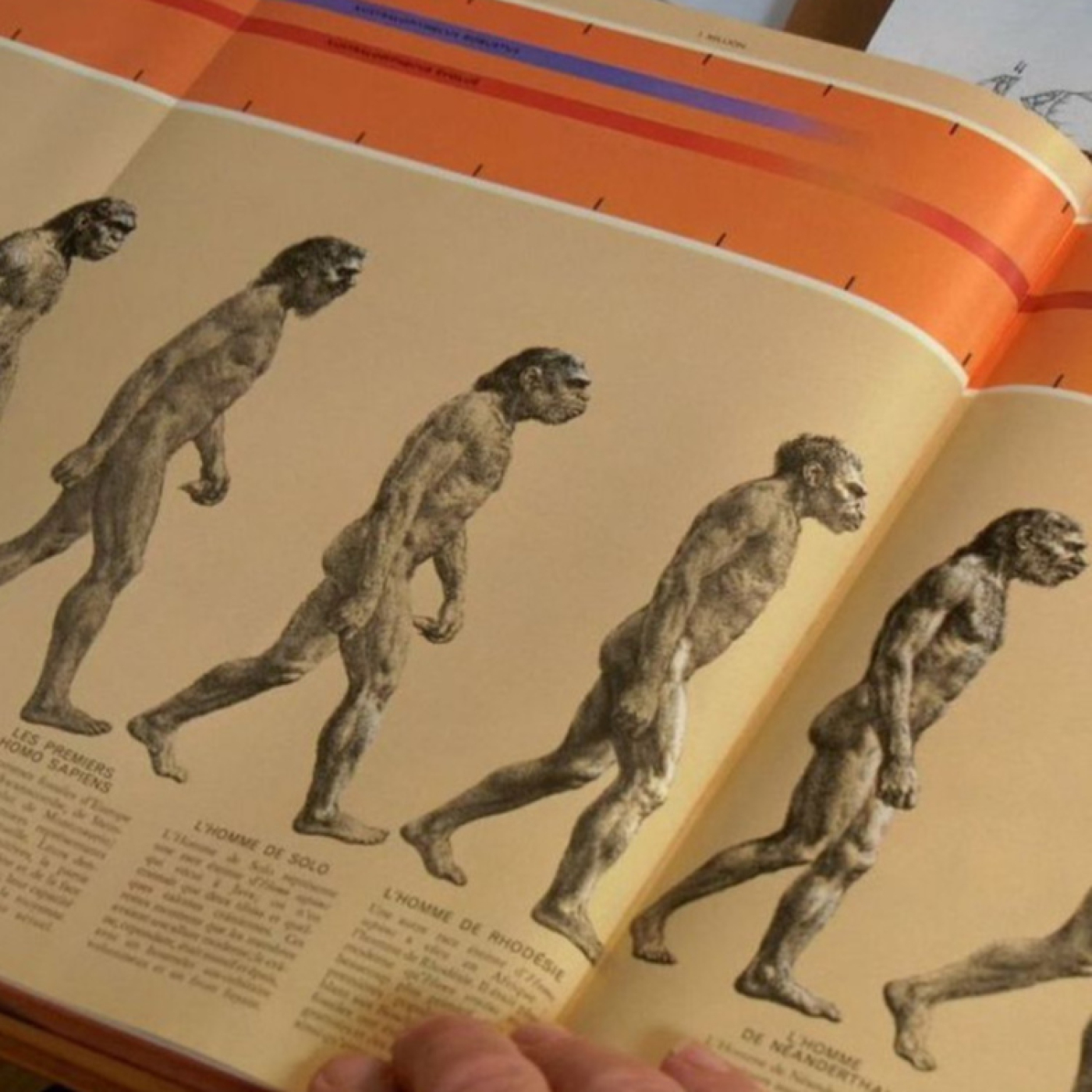 Neandertal, tras la huella de otra humanidad
