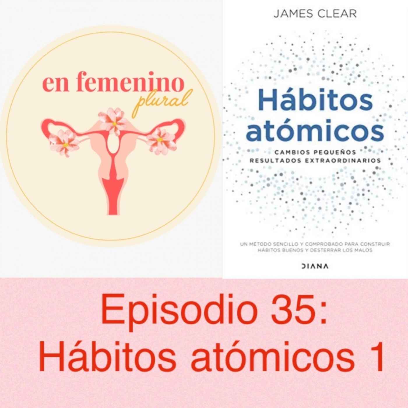 EN FEMENINO PLURAL