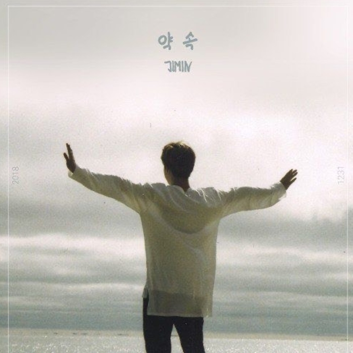 Promise-Jimin of BTS episode artwork