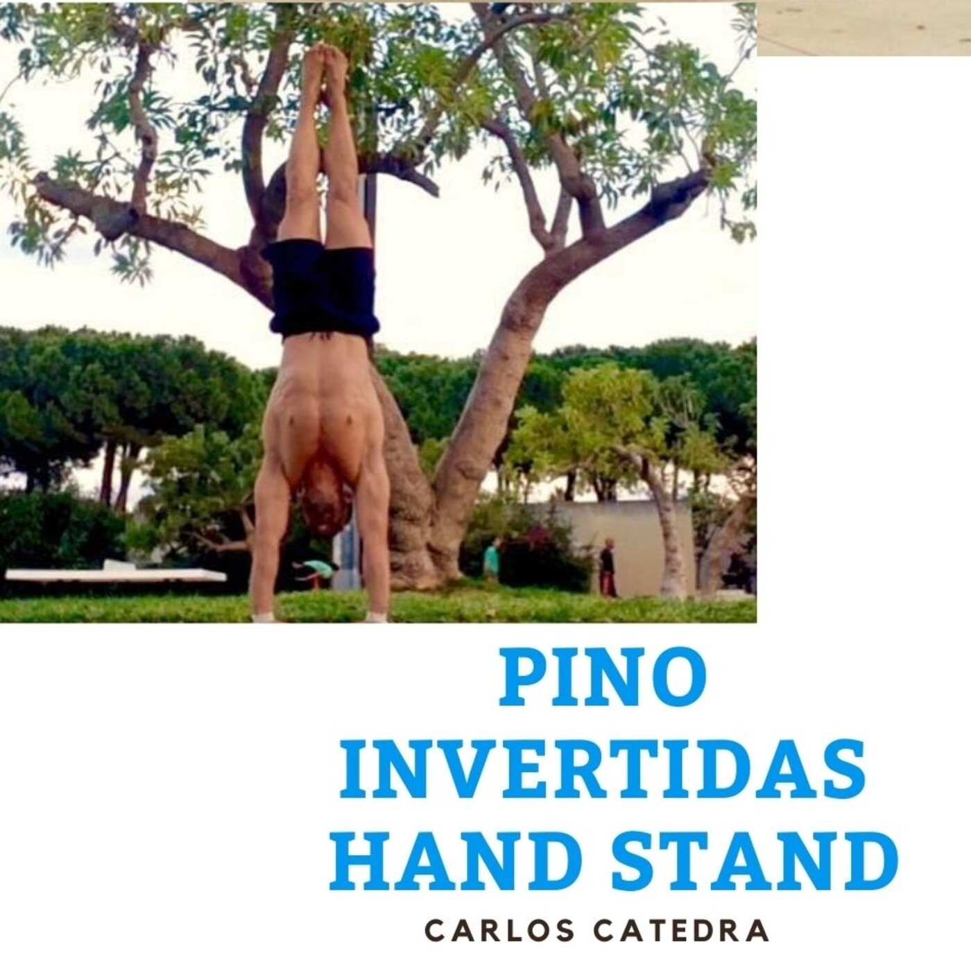 PINO / INVERTIDAS / HAND STAND con Carlos Catedra