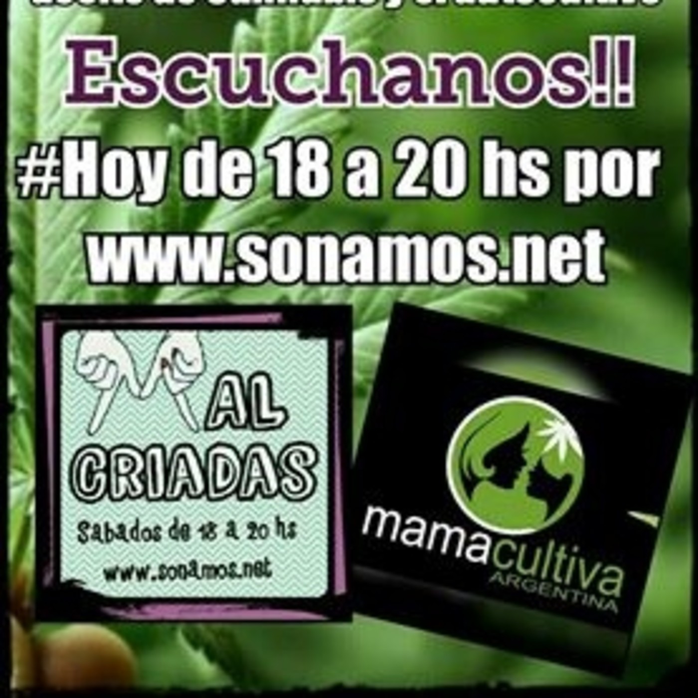 MalCriadas Radio