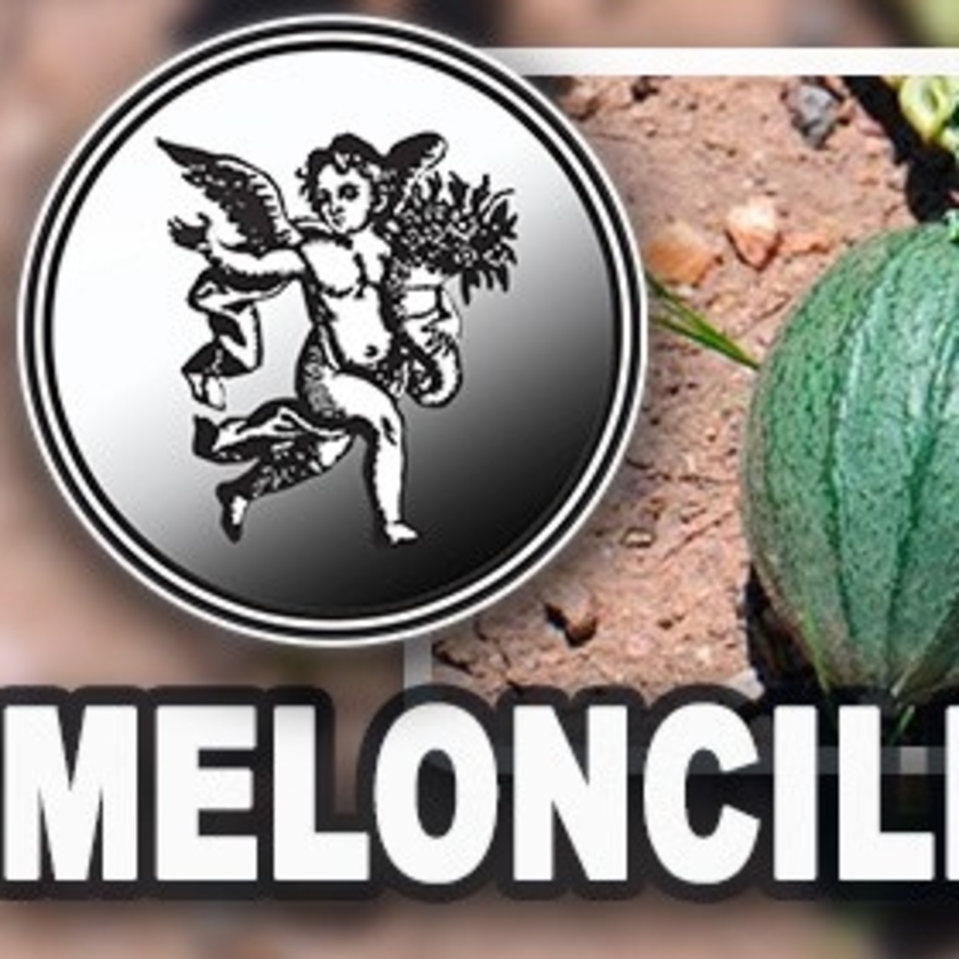 El Ángel de tu Salud - MELONCILLO1 episode artwork
