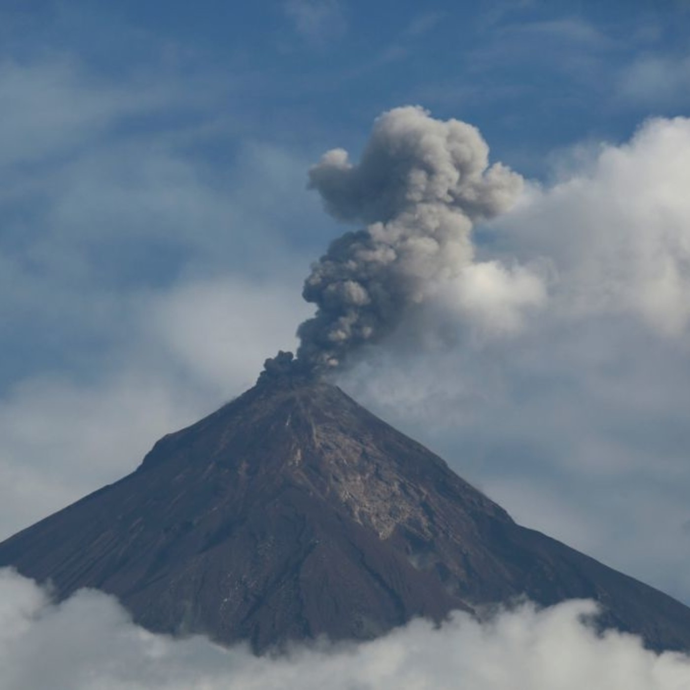 Próxima Estación Esperanza