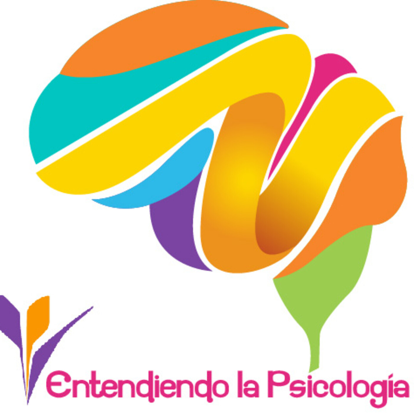 Entendiendo la Psicología