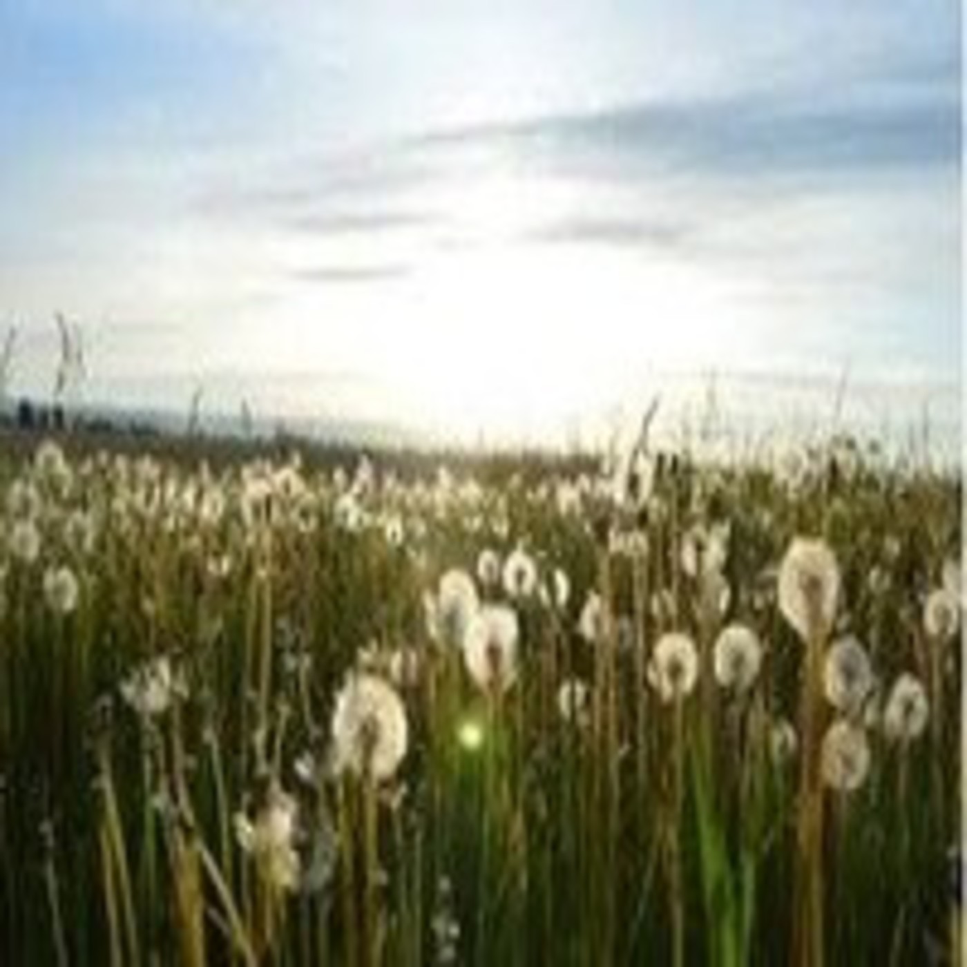 Podcast Bio Al Andalus