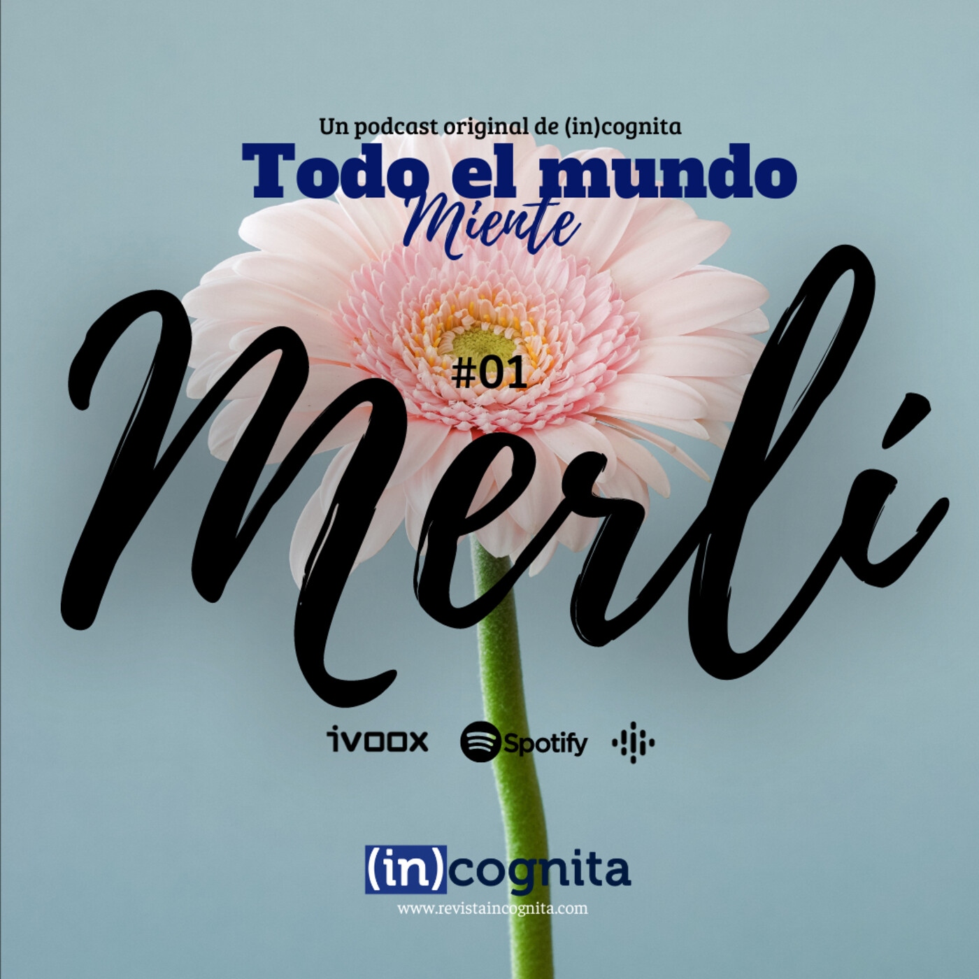 Todo el Mundo Miente