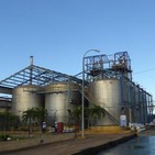 Rescatan producciones derivadas del azúcar