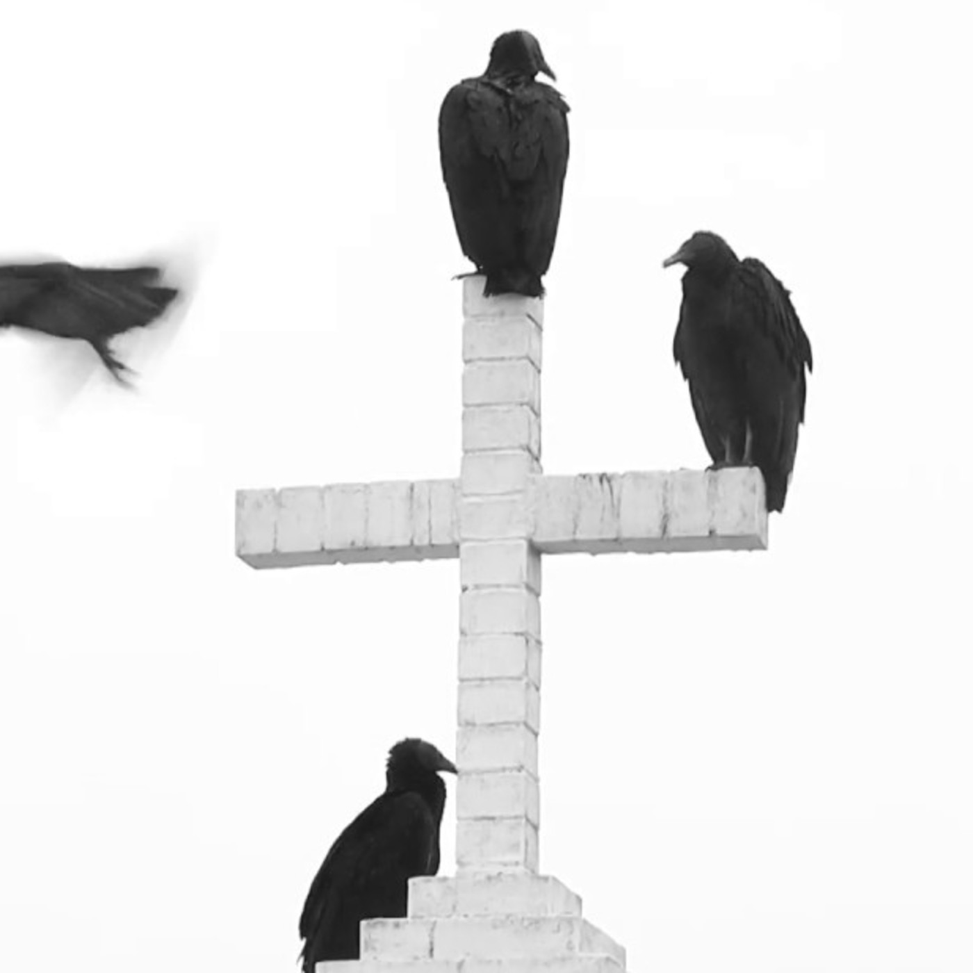 LOS MISTERIOS DE ANAIS