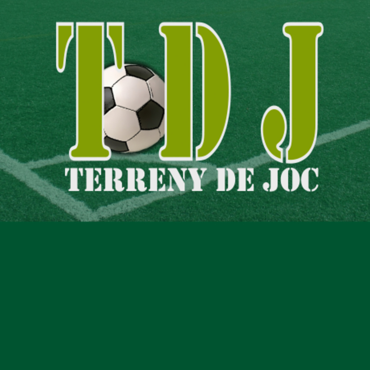 Terreny de Joc 2.0