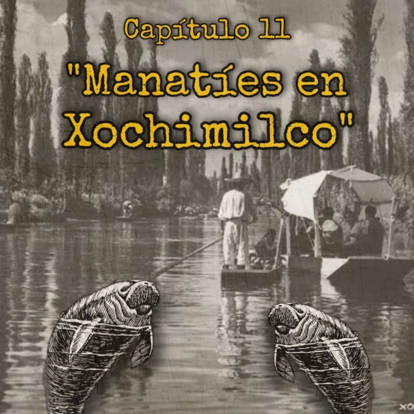 Voces de un País