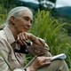 Carta Jane Goodall