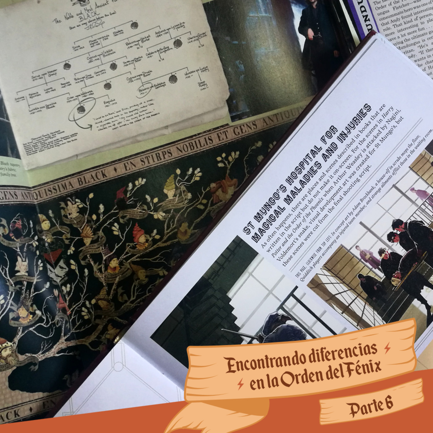Las Merodeadoras: Libro vs Película de HP - Temp1