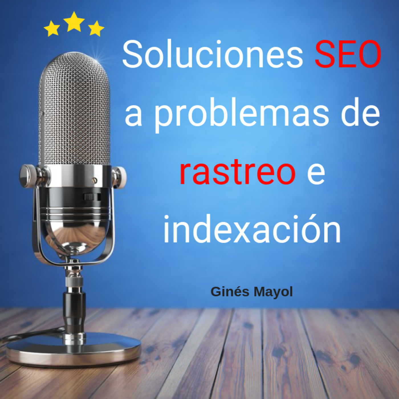 Gines Mayol - SEO