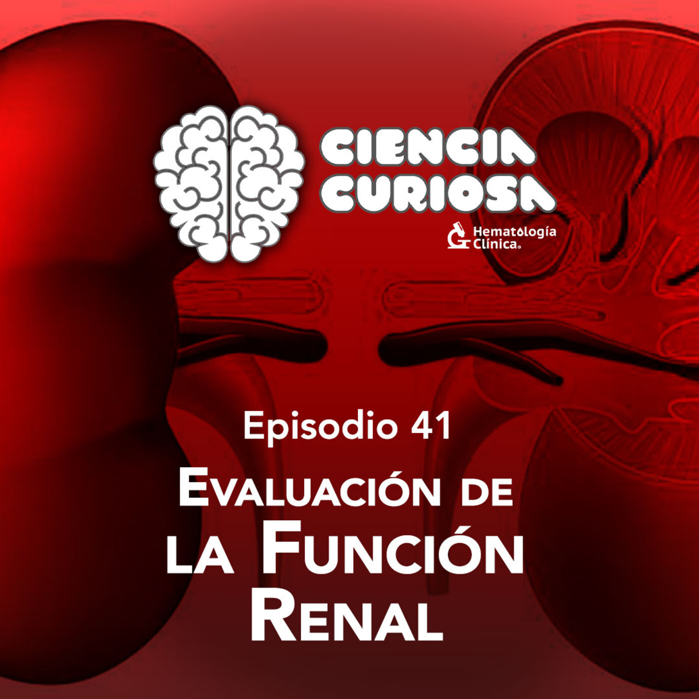 Ciencia Curiosa
