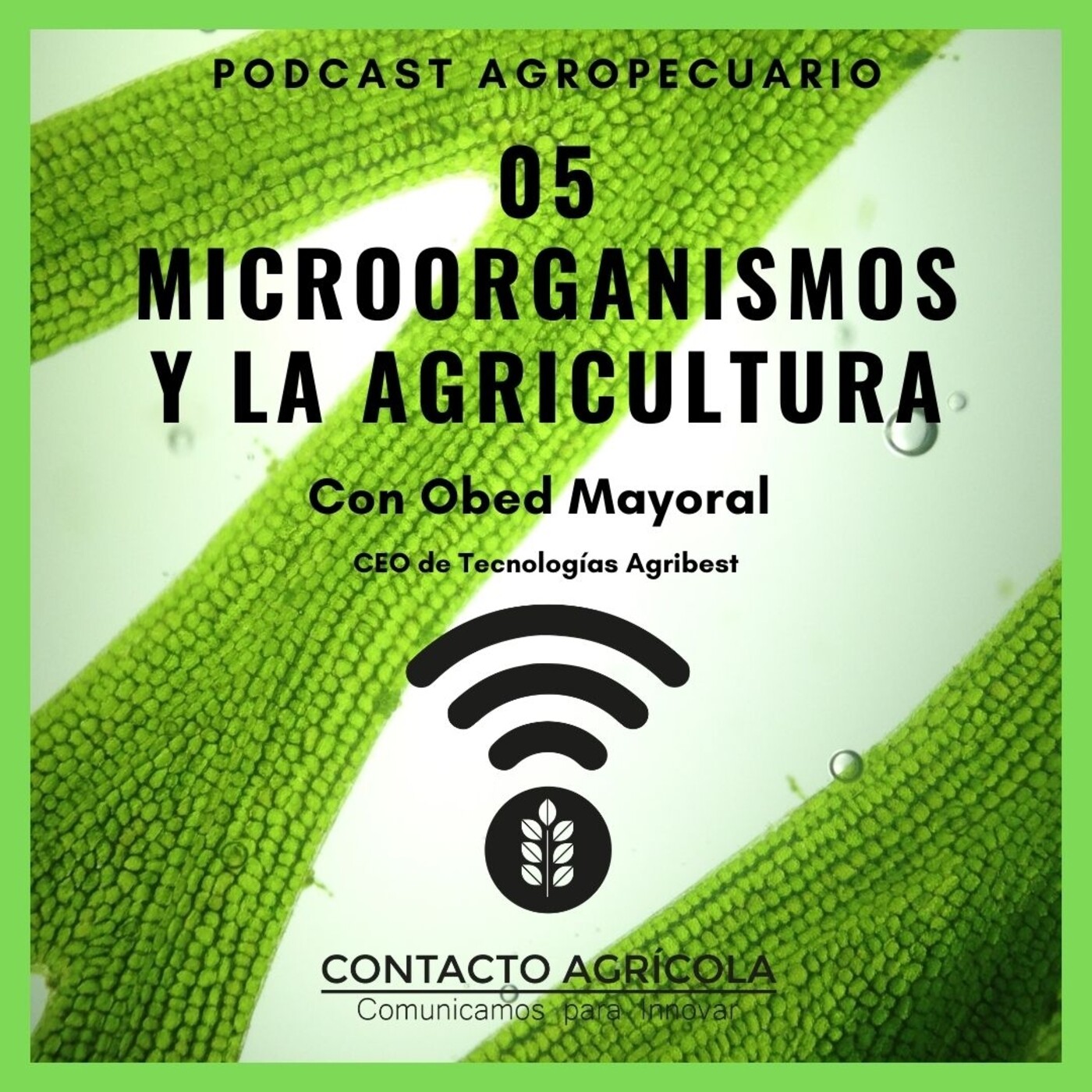 Contacto Agrícola