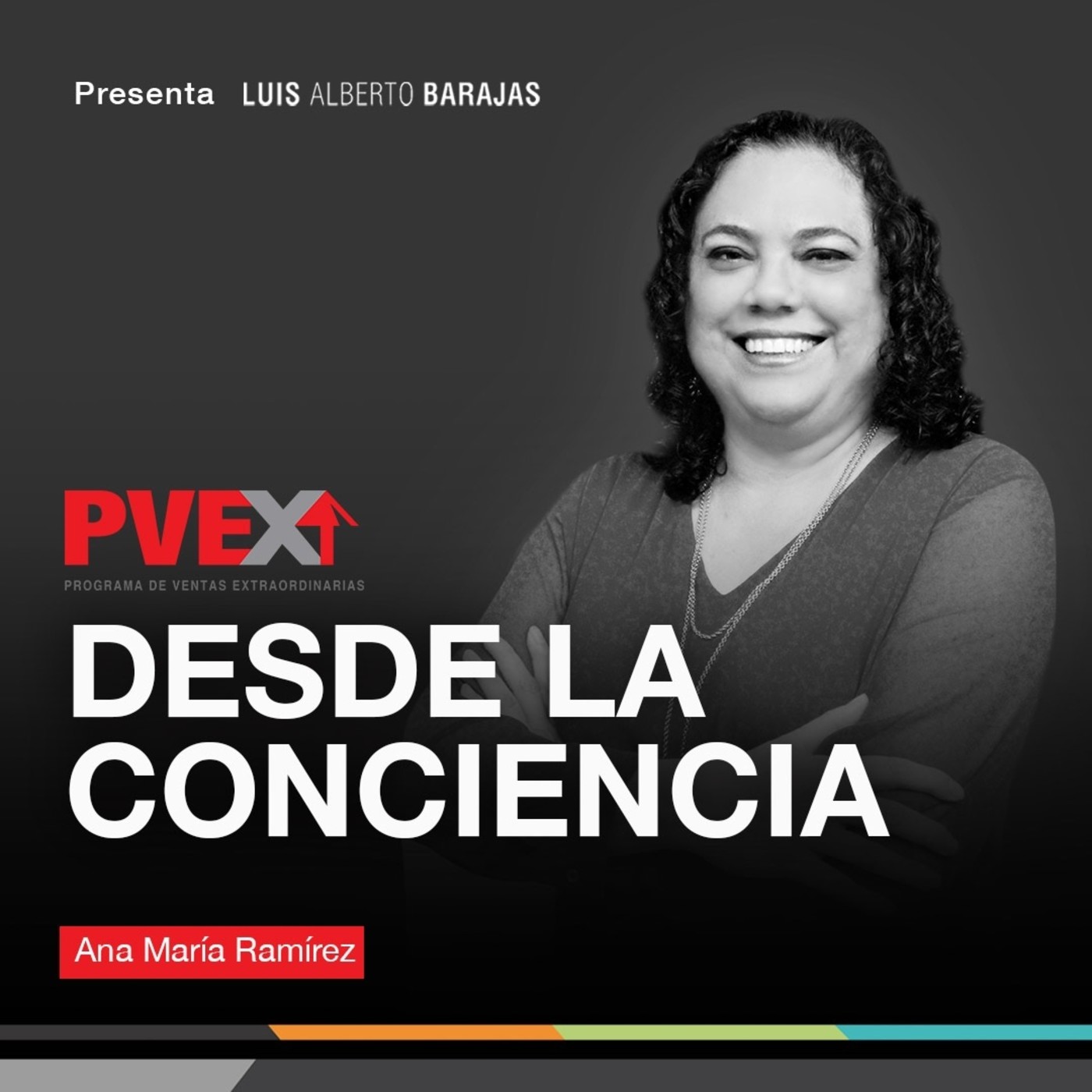 Programa de Ventas Extraordinarias (PVEX)