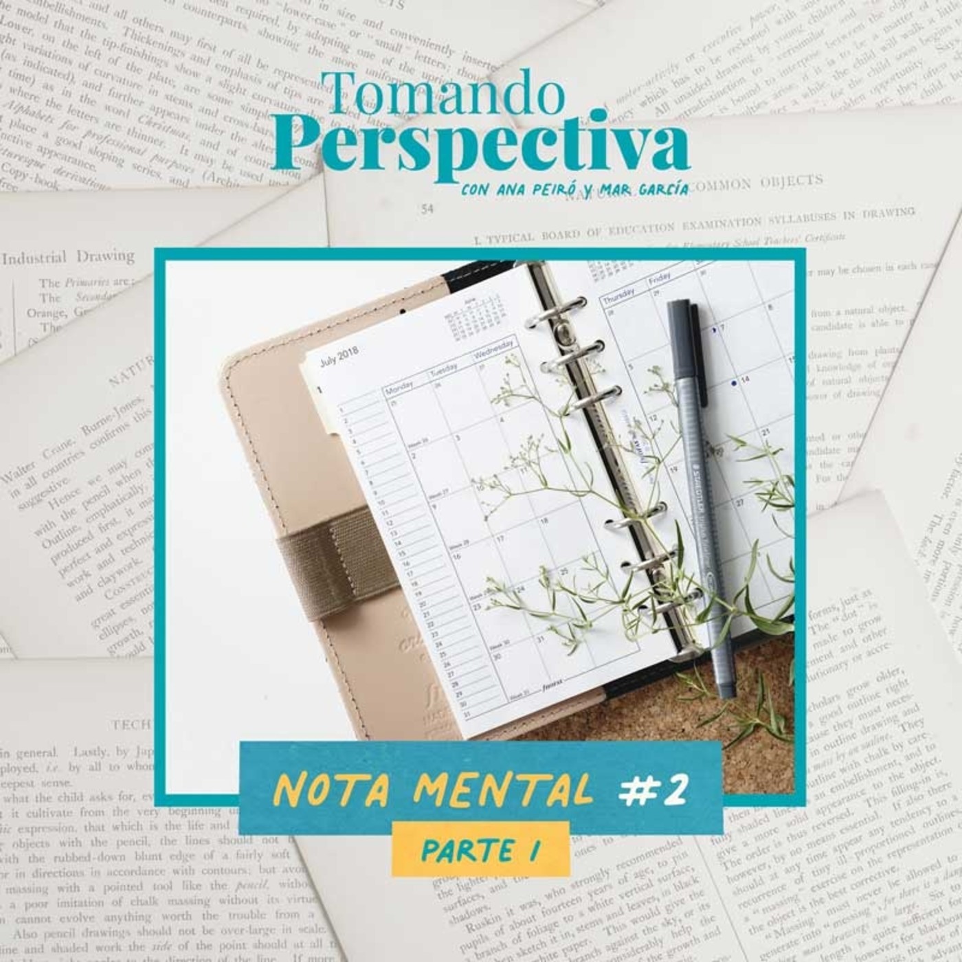 Tomando Perspectiva