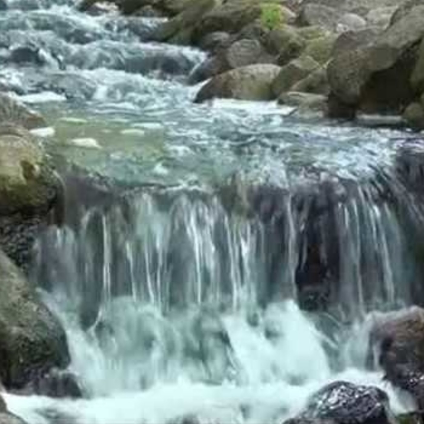 2 HORAS Cascada de agua y pájaros | Sonidos de la Naturaleza #7