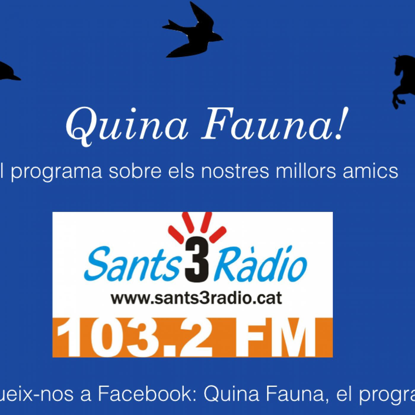 Quina Fauna