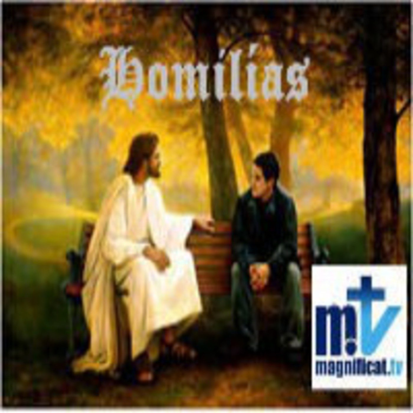 Homilía del viernes 28/02/2014, P. Javier Martín FM