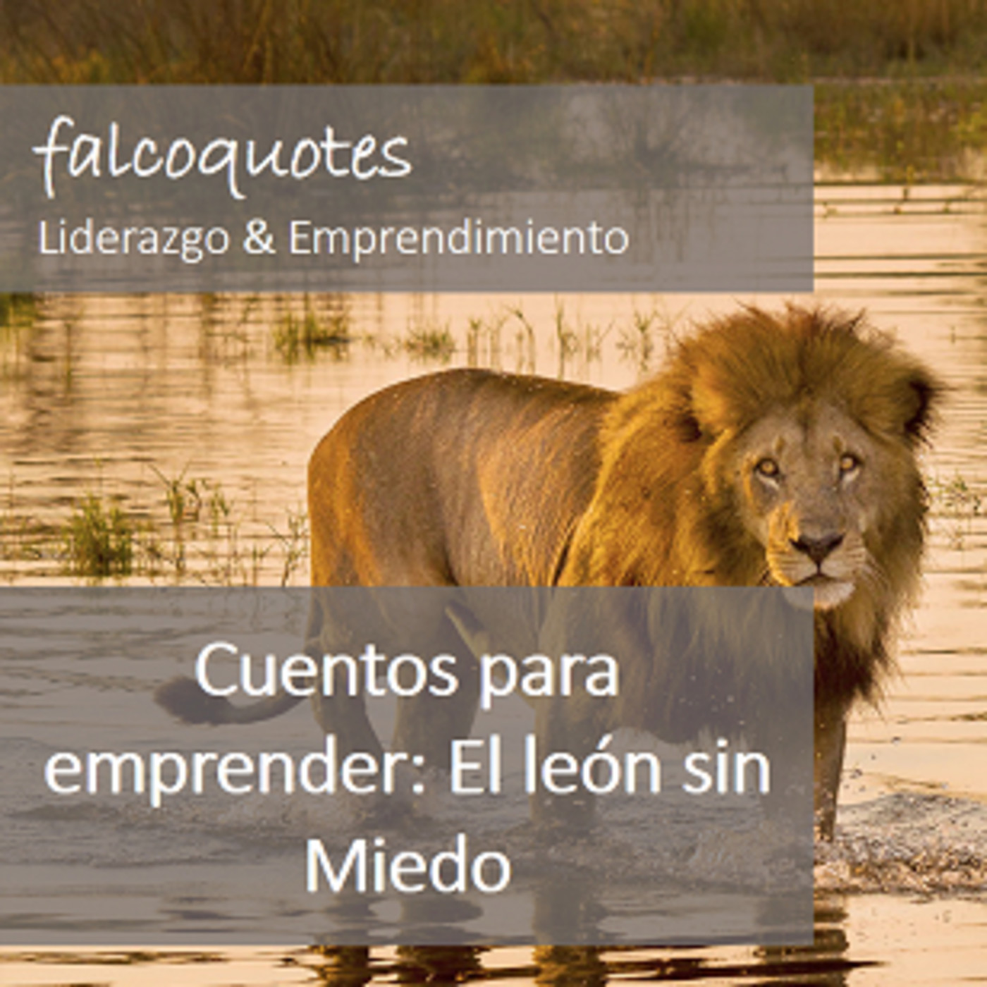 Cuentos para emprender: el león sin miedo