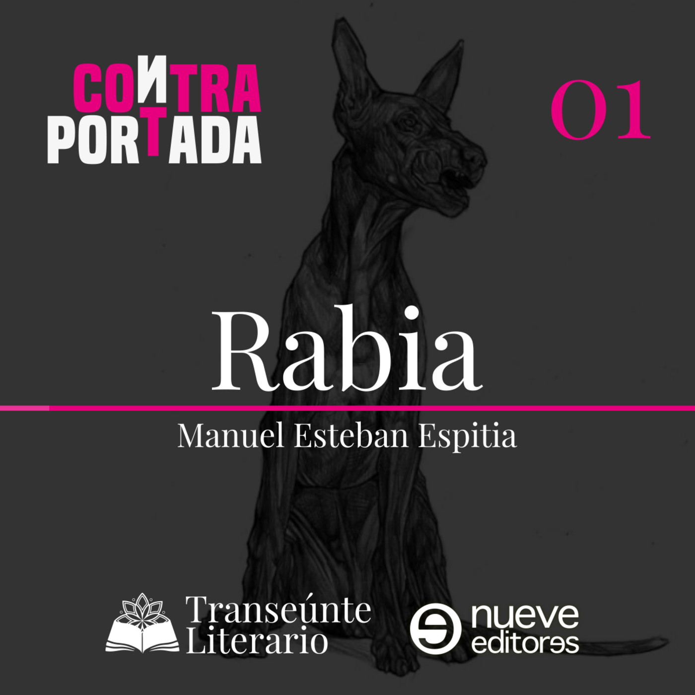 Transeúnte Literario
