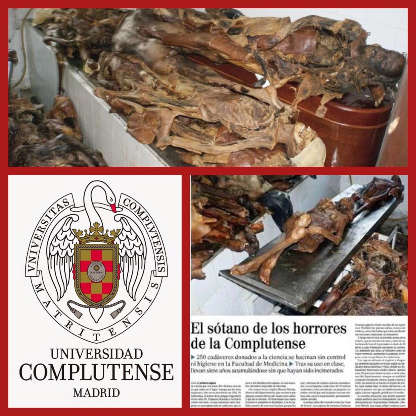 El Centinela del Misterio