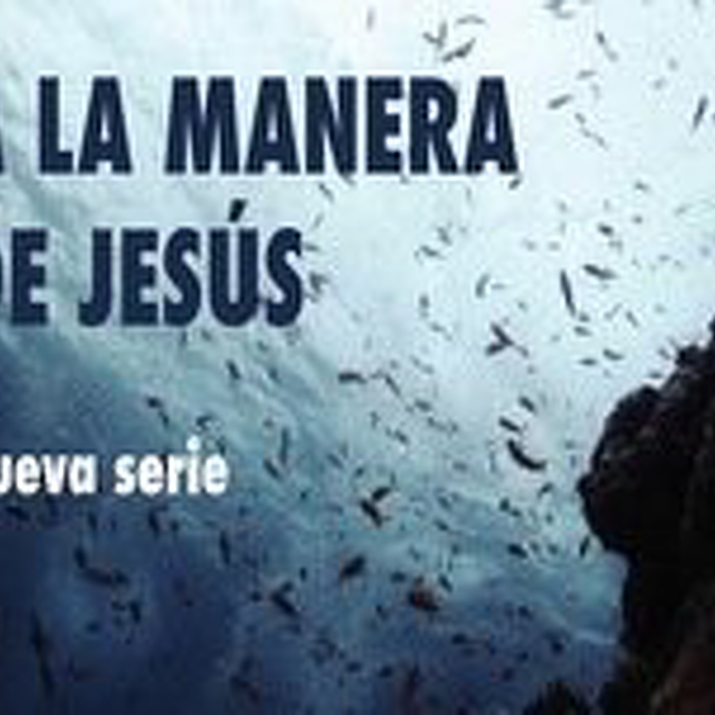 Parque Este - Reflexiones Bíblicas Prácticas