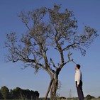 Entrevista a Sergio de la Mata by Nacho Valbuena & Melanie Belmonte. Largometraje Suicidio.