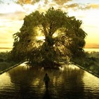 Meditación guiada del Árbol- (voz nuria mejias)