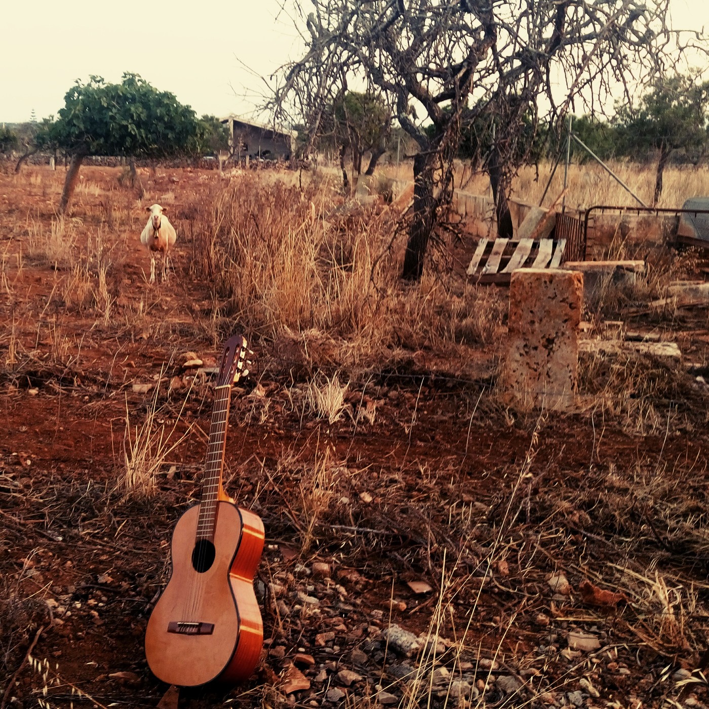 Podcast de radioliberarsu