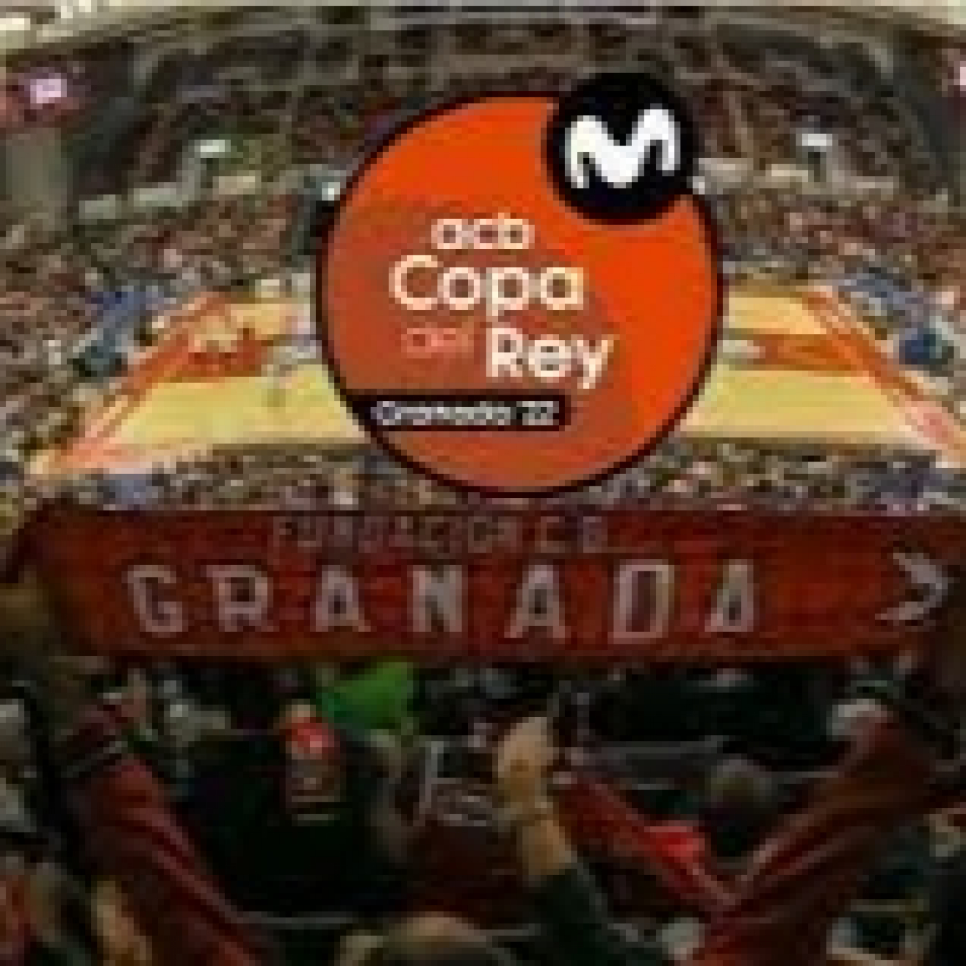Pasión Por El Baloncesto