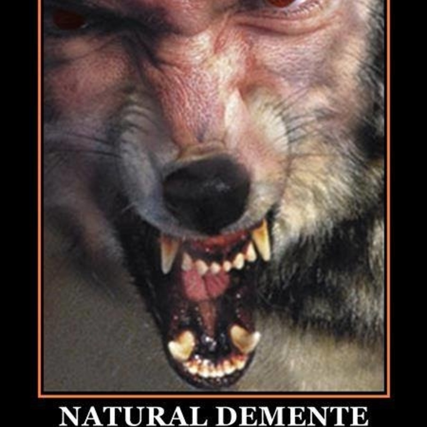 NATURAL DEMENTE