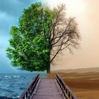 La Historia: Reconstruyendo muros, reconstruyendo vidas