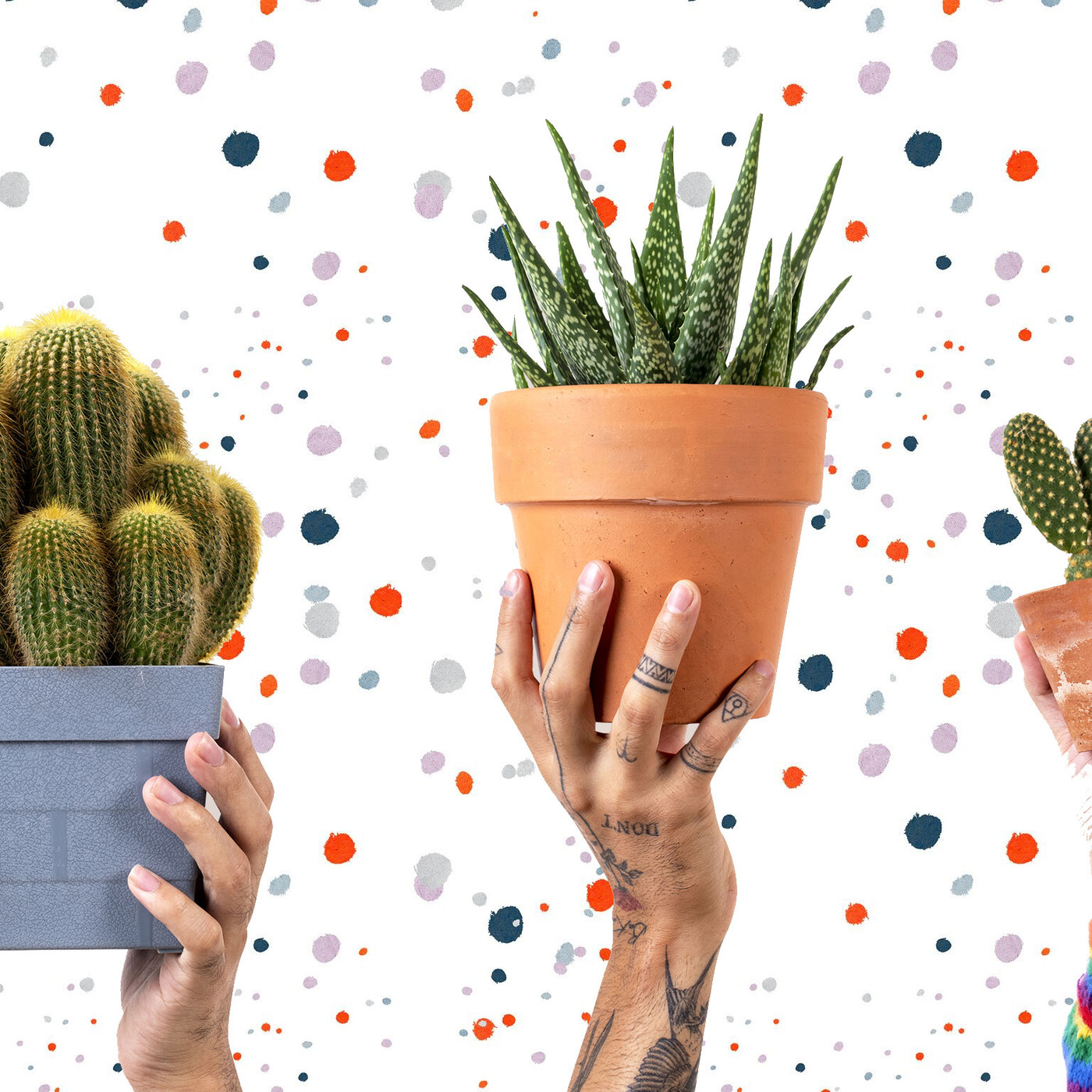 Cactus Confetti