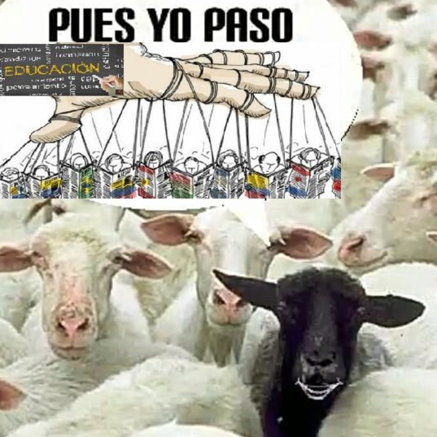 Podcast de Voces Alternativas2