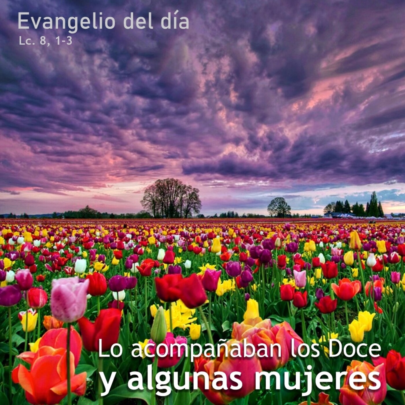 18 de septiembre de 2020