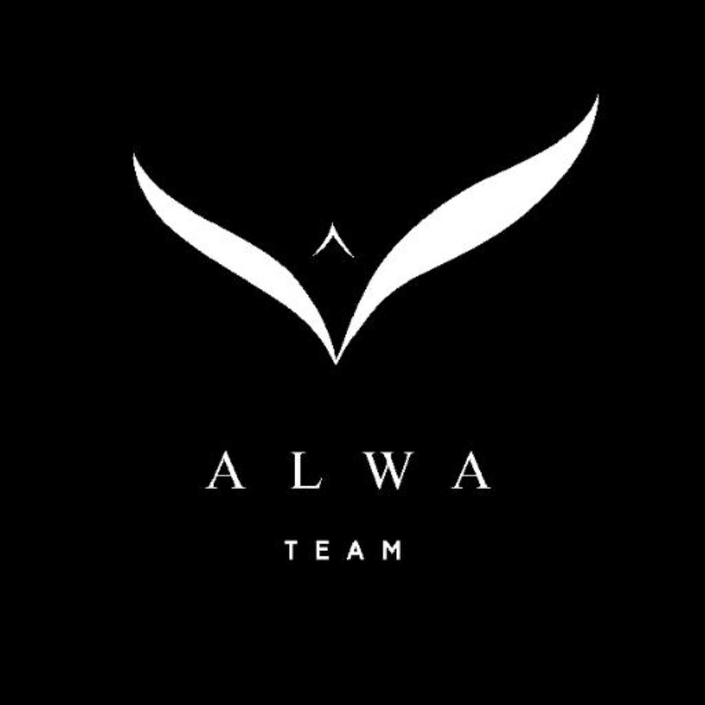 ALWA TEAM
