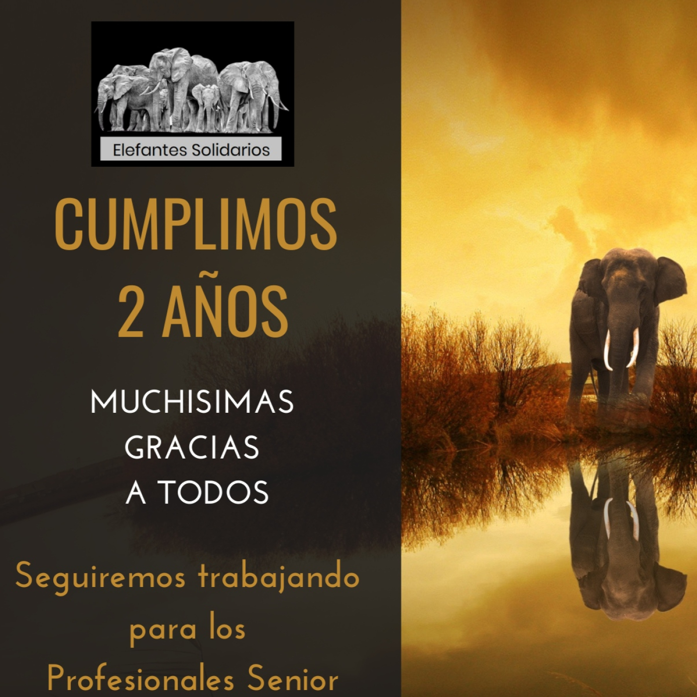 Emprendedores Senior