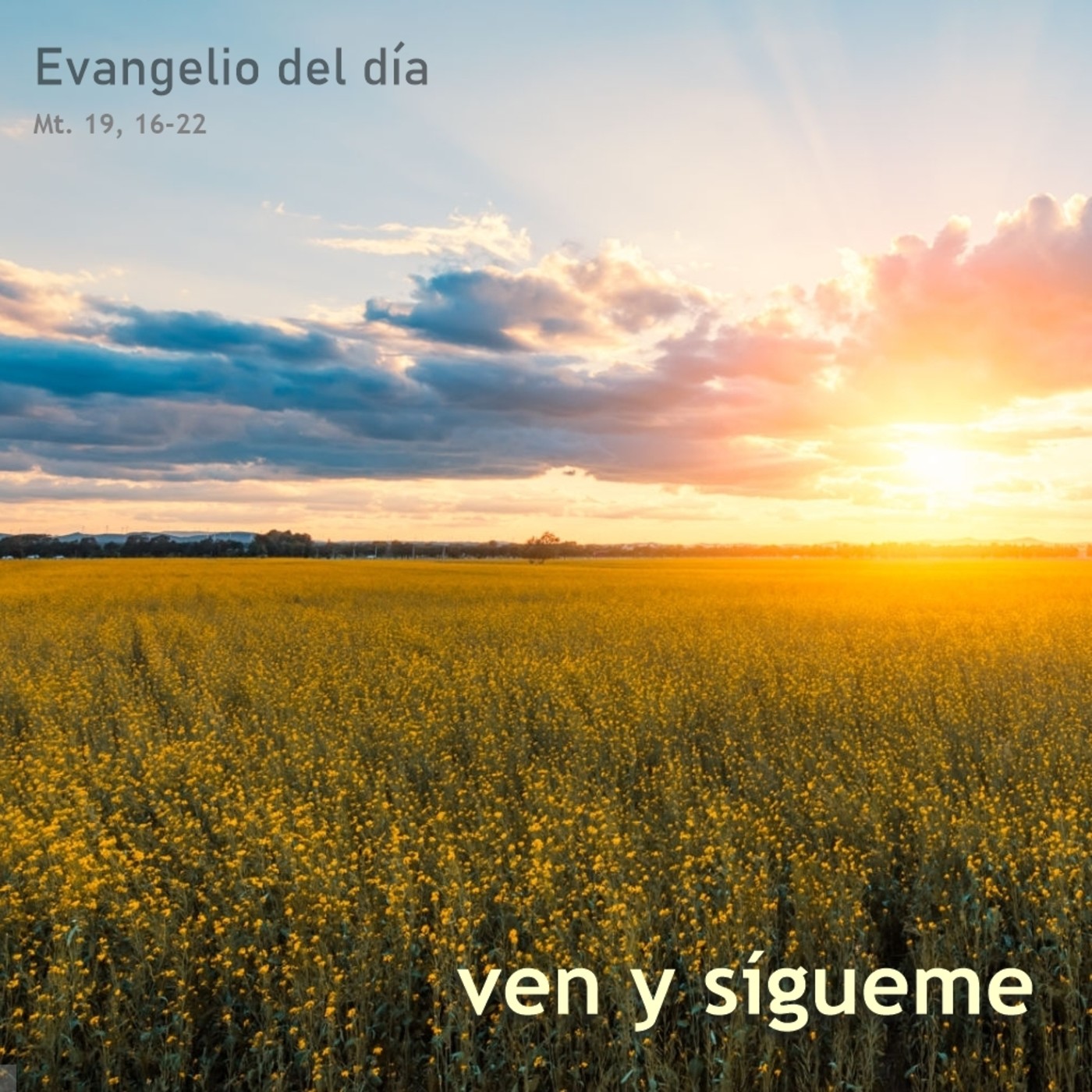 17 de agosto de 2020