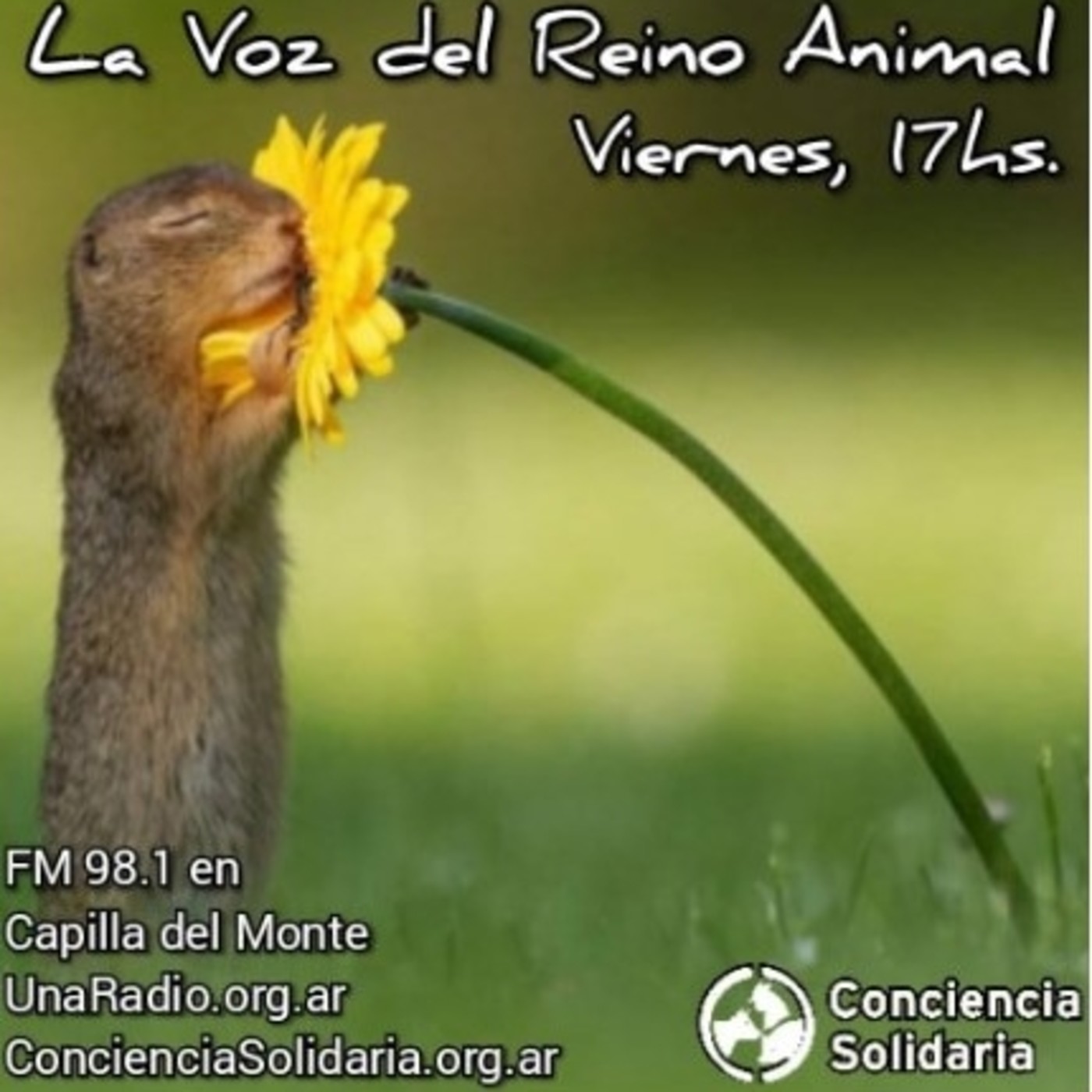 Extracto de #LaVozDelReinoAnimal 18.10.19 episode artwork