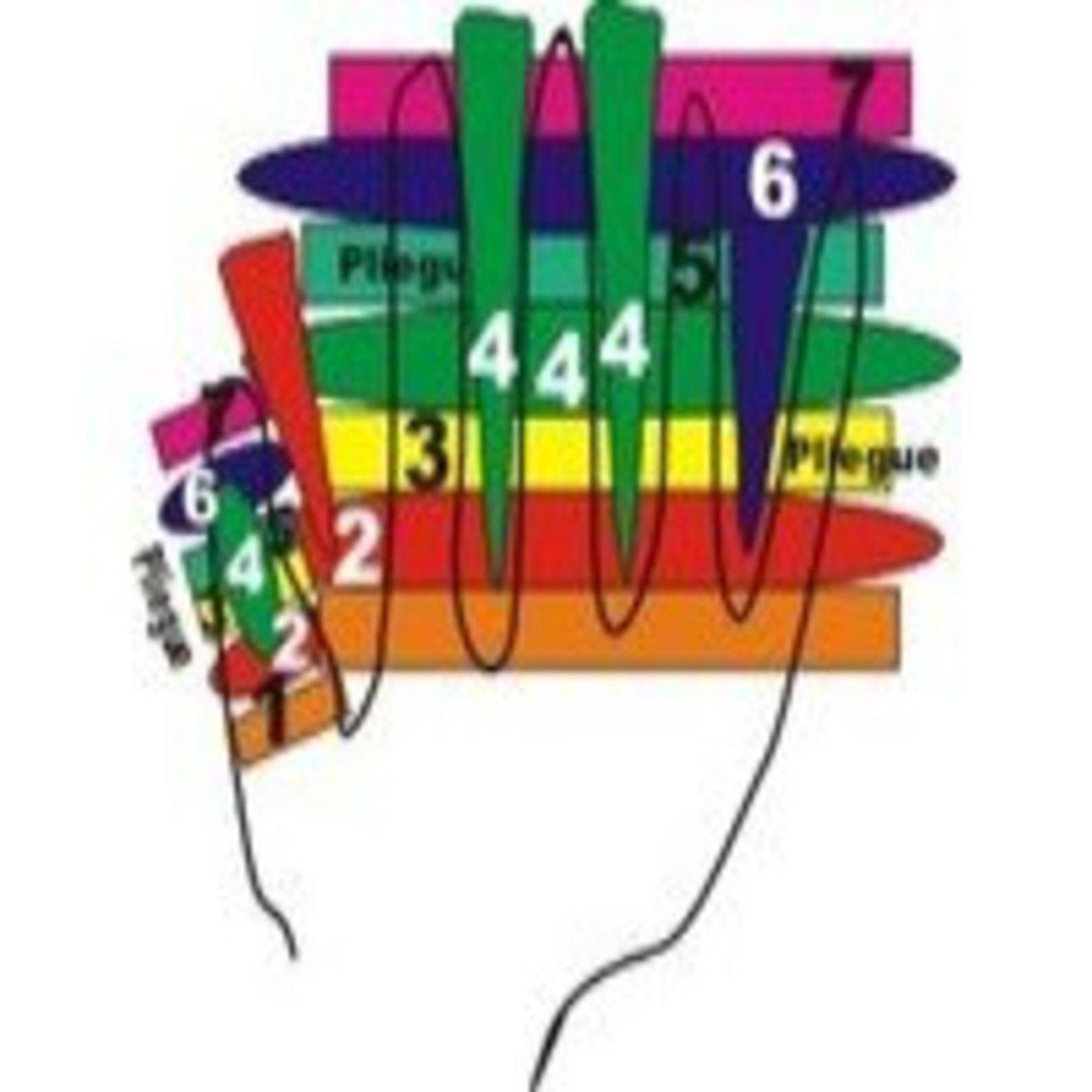 Podcast hospital virtual