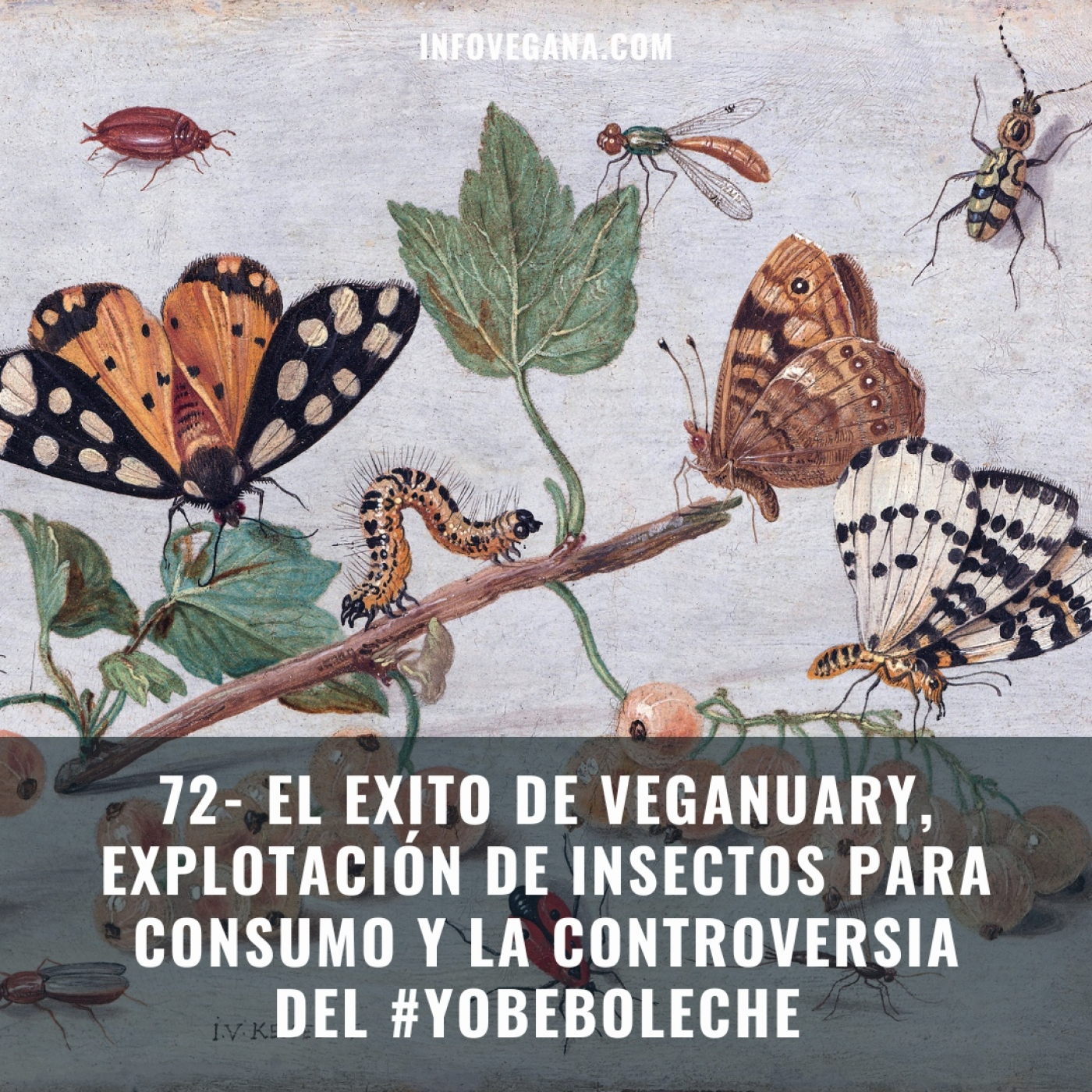 72- EL EXITO DE VEGANUARY, EXPLOTACIÓN DE INSECTOS PARA CONSUMO Y LA CONTROVERSIA DEL #YOBEBOLECHE episode artwork