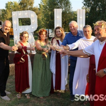 embed image