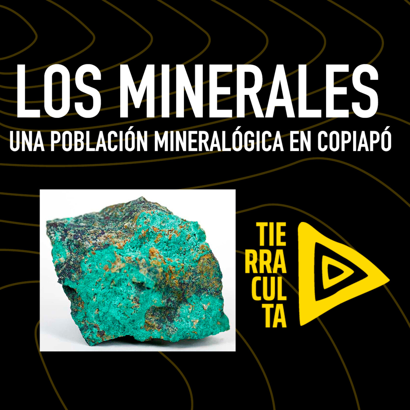 Tierra Culta